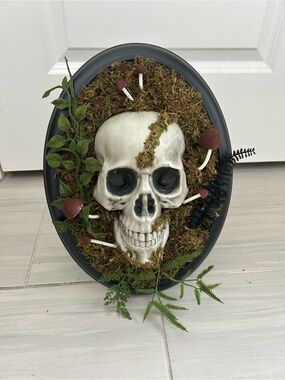Hyde and EEK! Boutique Hanging Framed Skull Halloween decorative prop